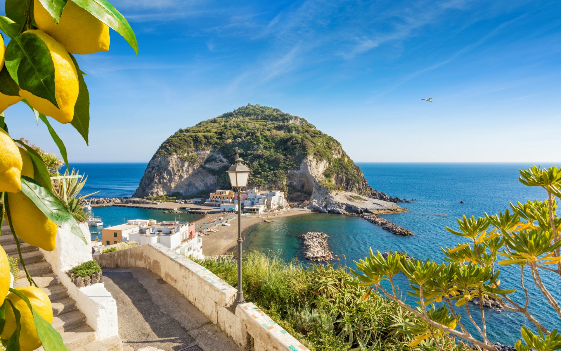 Banner Melograno Viaggi