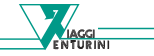 Venturini Viaggi