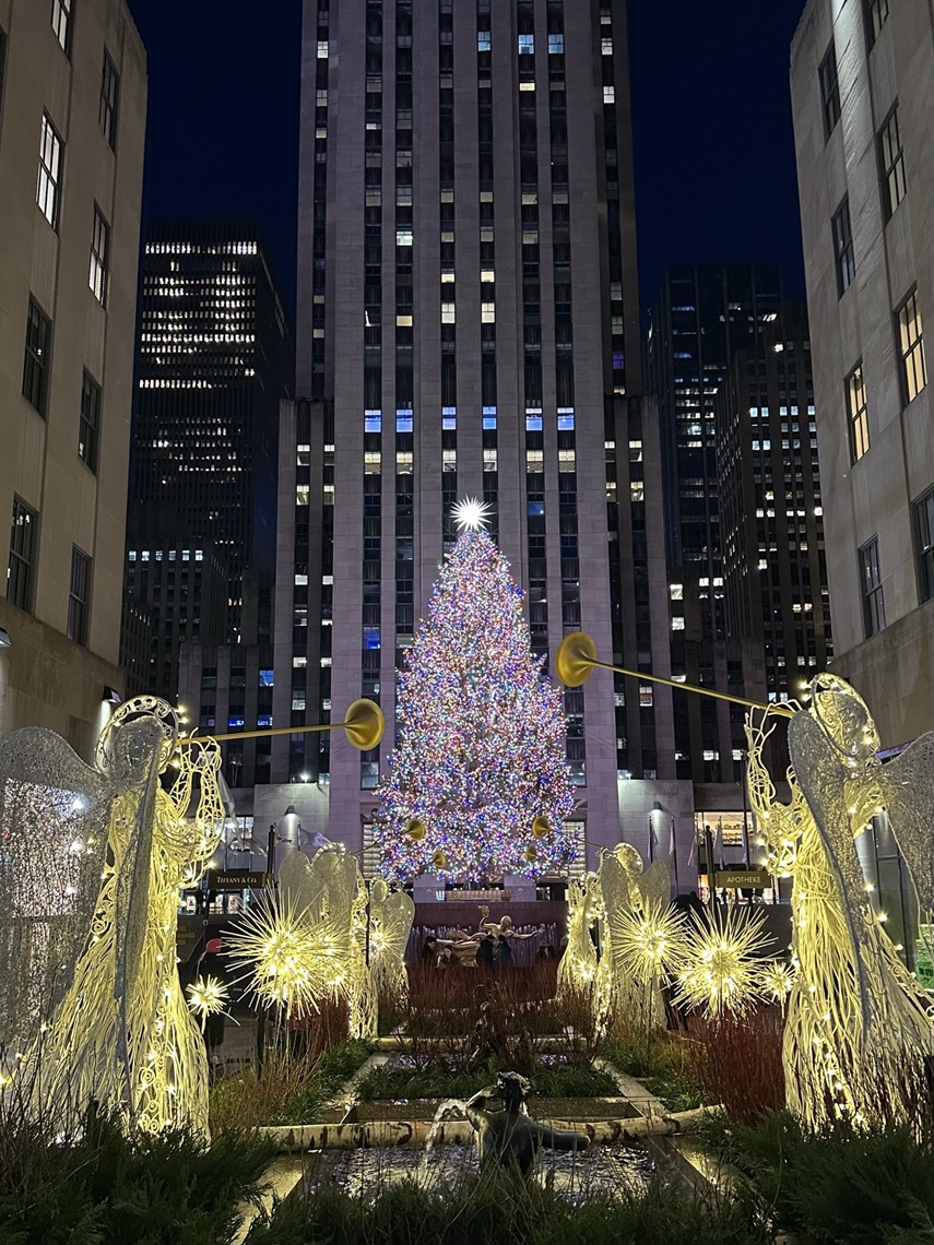LA MAGIA DEL NATALE....